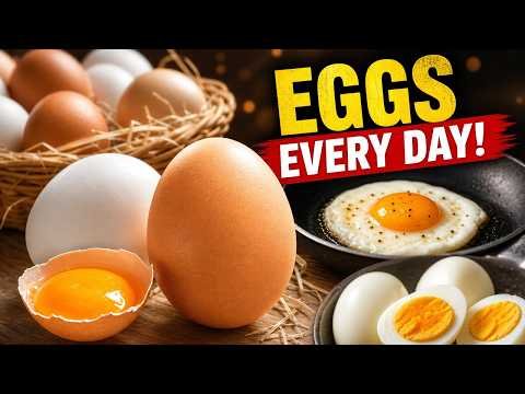 Stop Avoiding Eggs! The Surprising Reasons to Eat Them Every Day