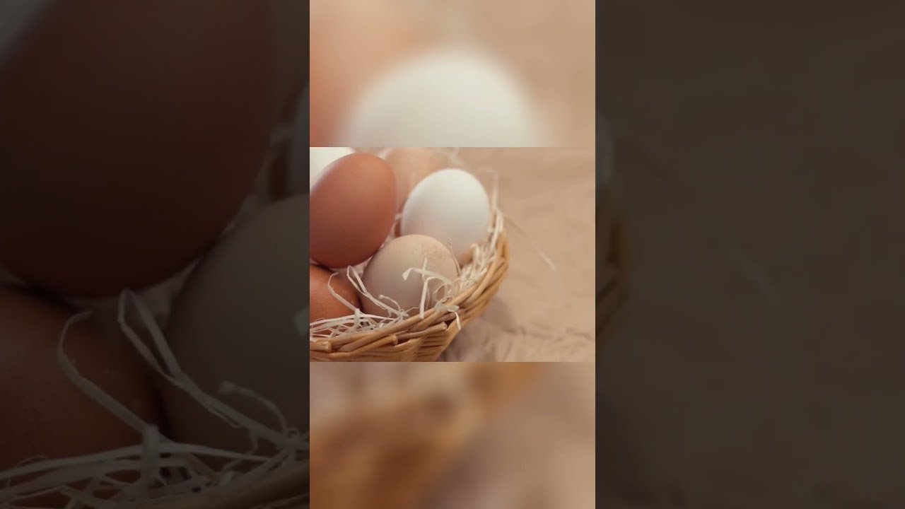 Choose Eggs Like a Pro | Heavier Means Healthier!