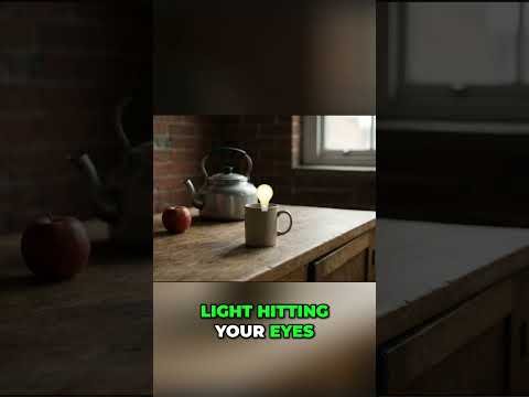 Morning Light Benefits for Circadian Rhythm and Better Sleep