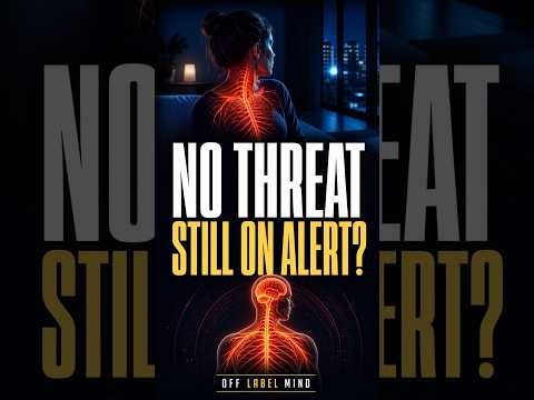 Nervous System Regulation: Why Your Stress Response Stays On